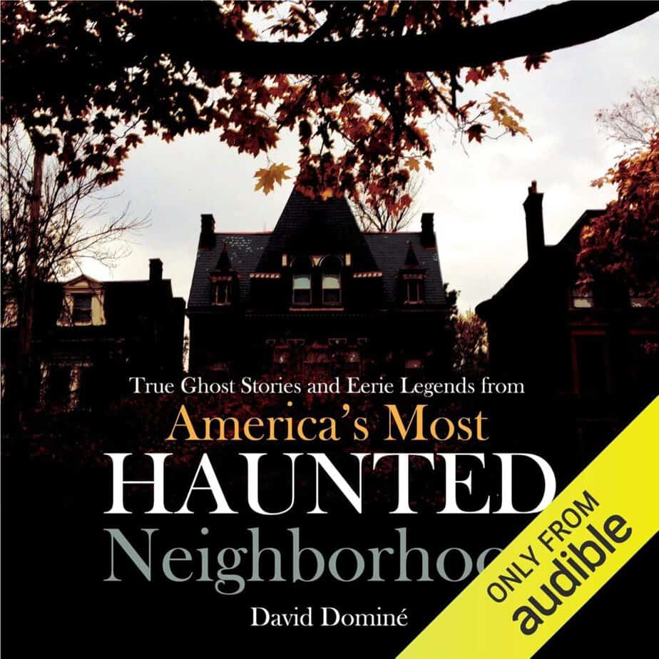 True Ghost Stories and Eerie Legends book by David Dominé