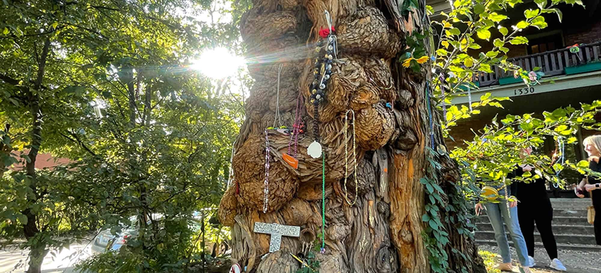 The Witches' Tree Louisville