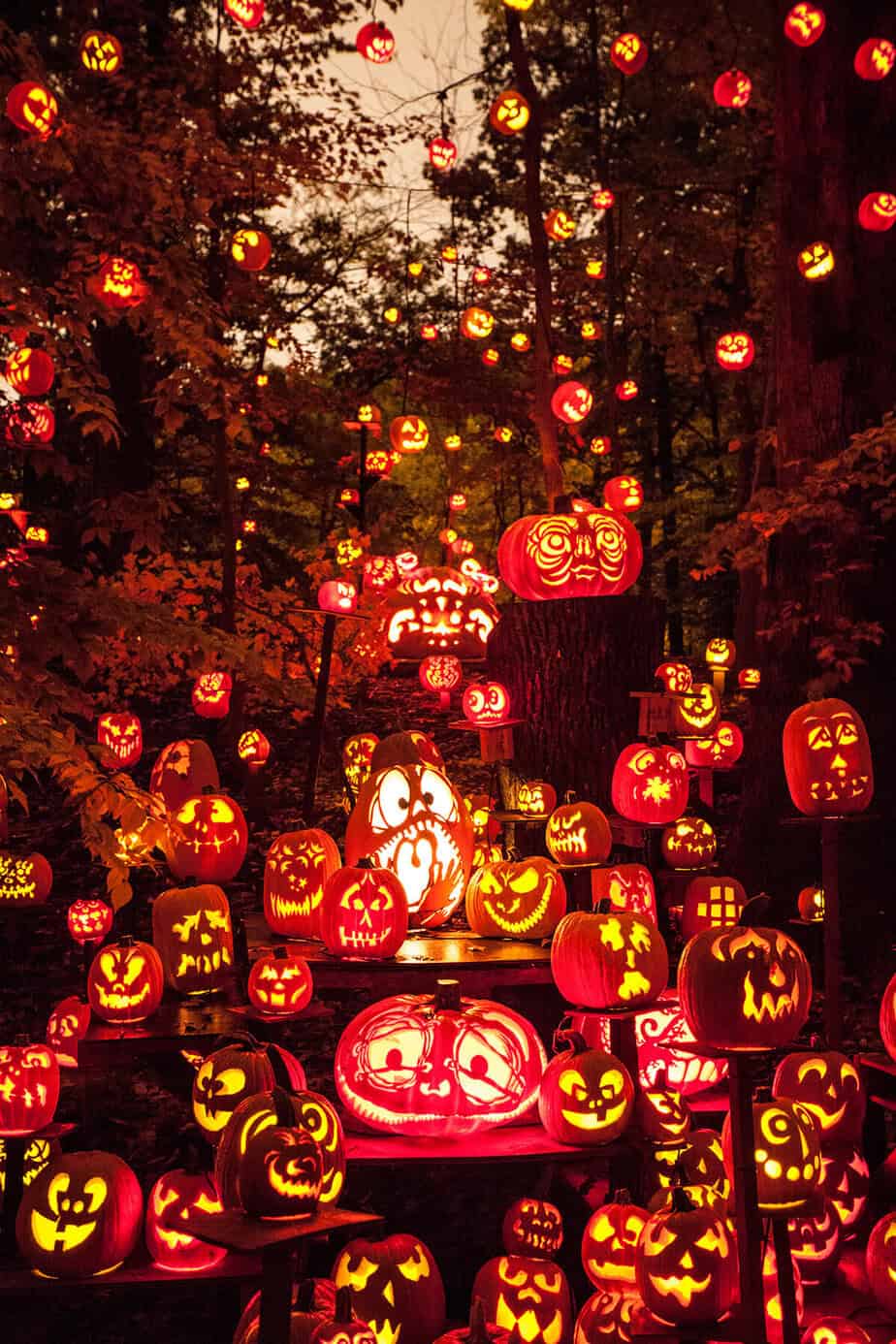 Hundreds of carved jack-o'-lanterns glowing along the Jack's Lantern Trail in Iroquois Park, Louisville.
